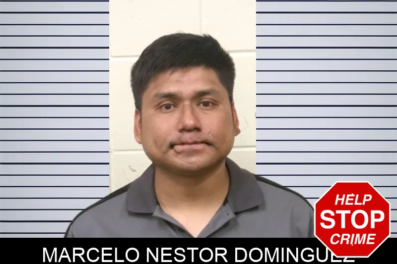 Marcelo Nestor Dominguez mugshot