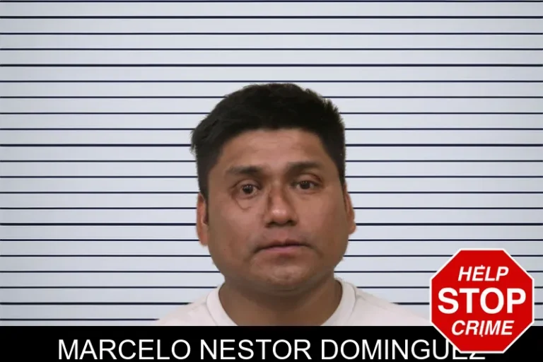 Marcelo Nestor Dominguez