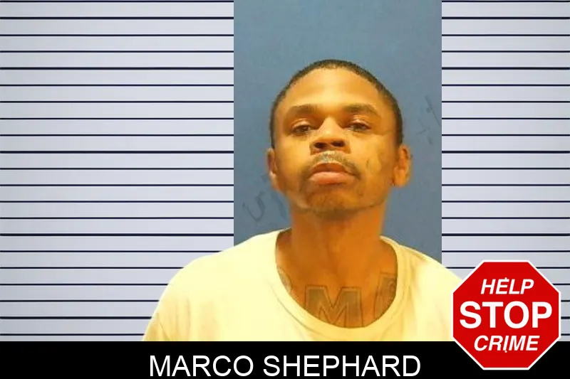 Marco Shephard mugshot