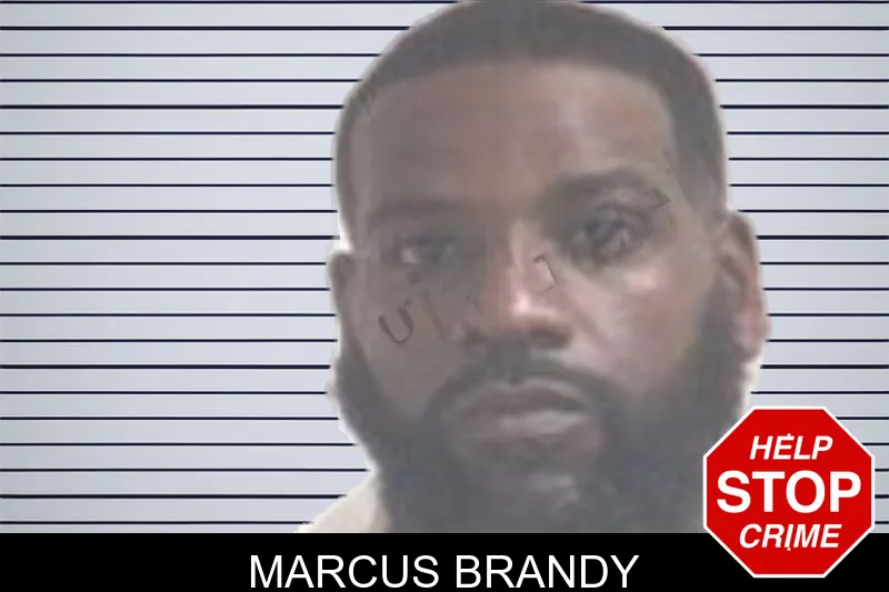 Marcus Brandy mugshot