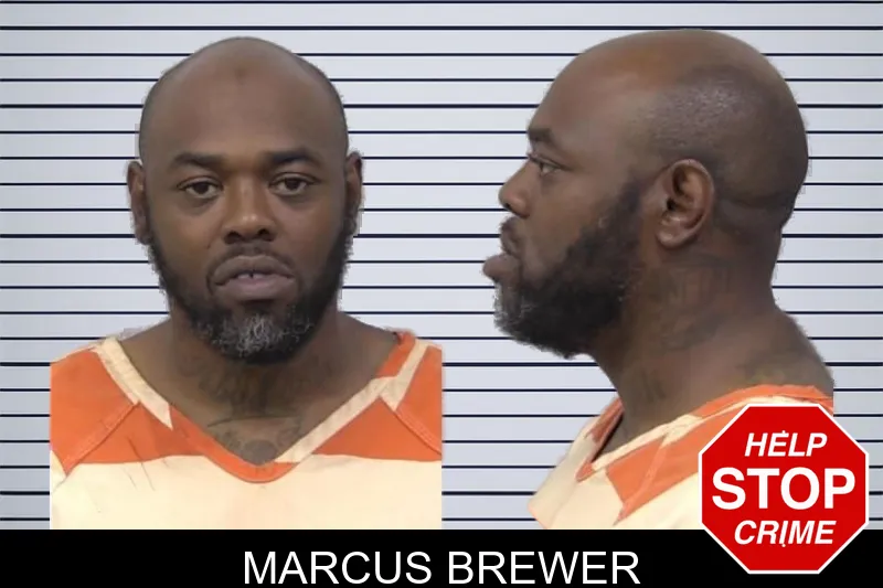 Marcus Brewer mugshot – Paulding County , Georgia Marcus Brewer mugshot