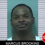 Marcus Brookins mugshot – Bleckley County , Georgia Marcus Brookins mugshot
