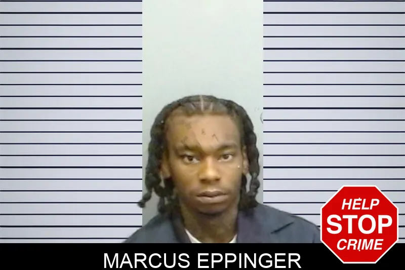 Marcus Eppinger mugshot – Fulton County , Georgia Marcus Eppinger mugshot