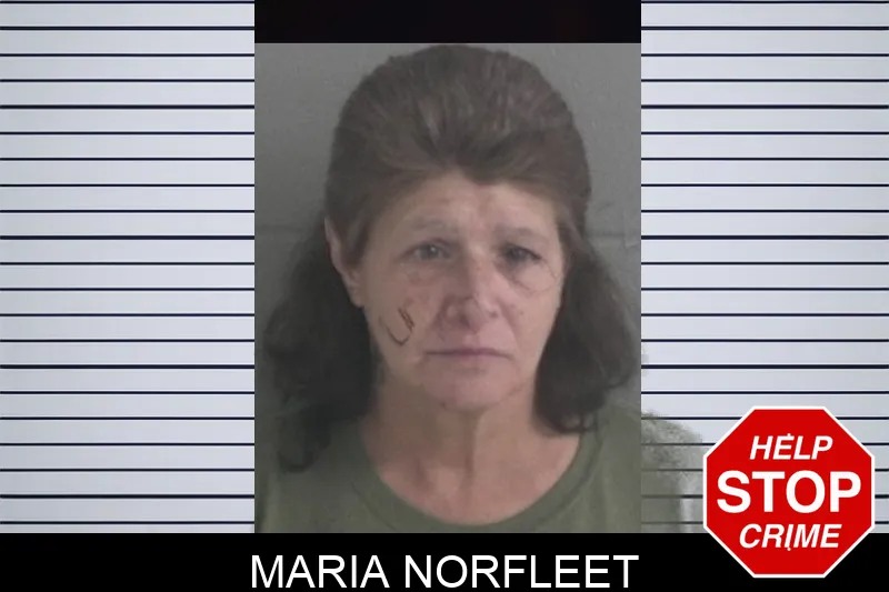Maria Norfleet mugshot