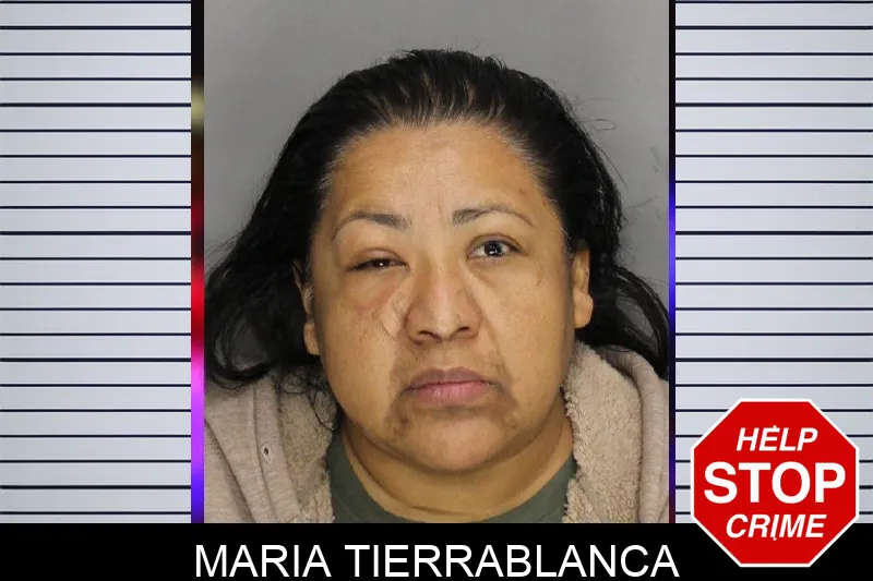 Maria Tierrablanca mugshot
