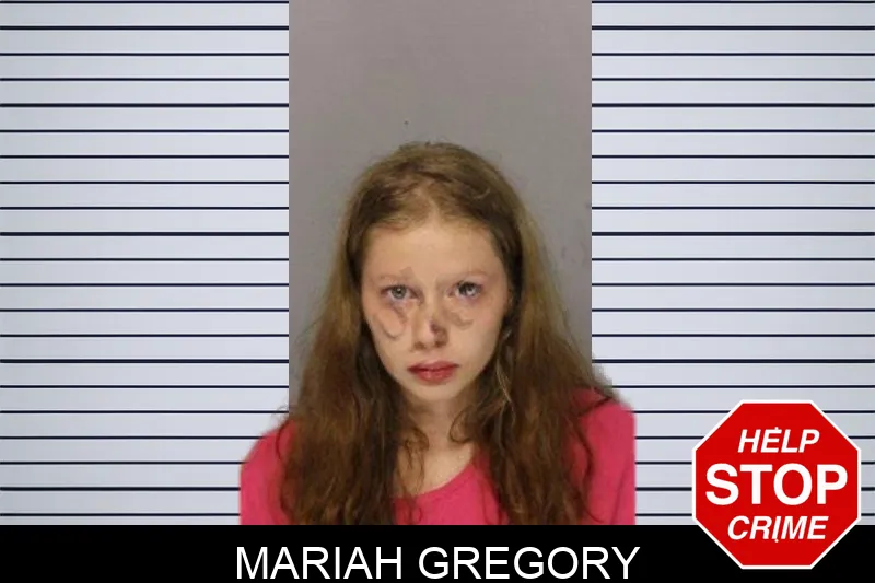 Mariah Gregory mugshot – Hall County , Georgia Mariah Gregory mugshot