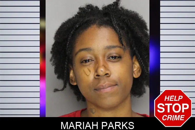 Mariah Parks mugshot – Cobb County , Georgia Mariah Parks mugshot
