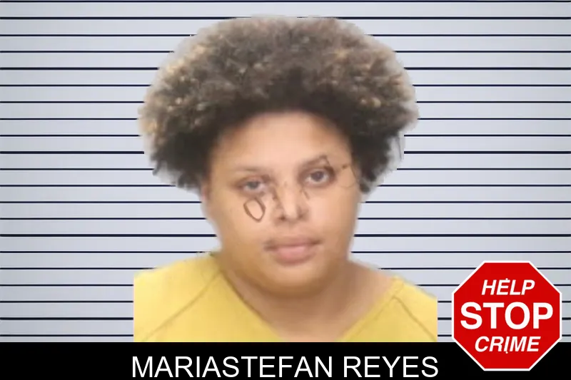 Mariastefan Reyes mugshot