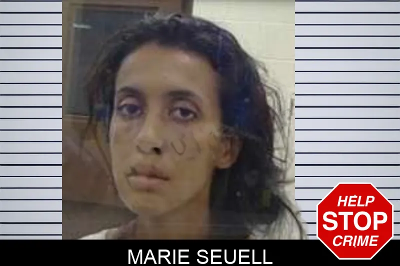 Marie Seuell mugshot – Peach County , Georgia Marie Seuell mugshot