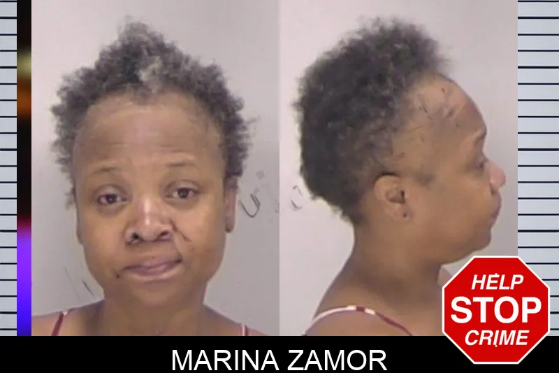 Marina Zamor mugshot