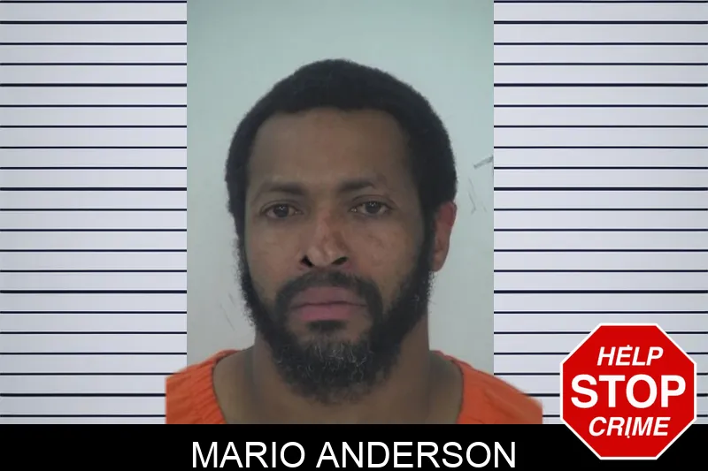 Mario Anderson mugshot