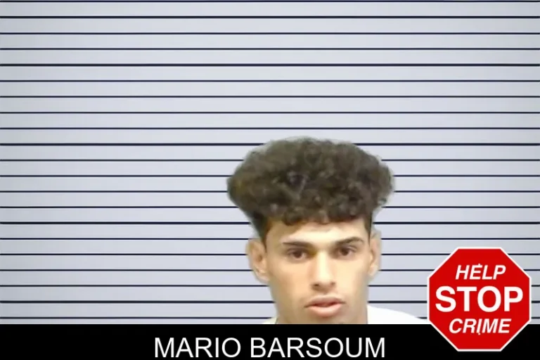 Mario Barsoum mugshot – Fannin County , Georgia Mario Barsoum