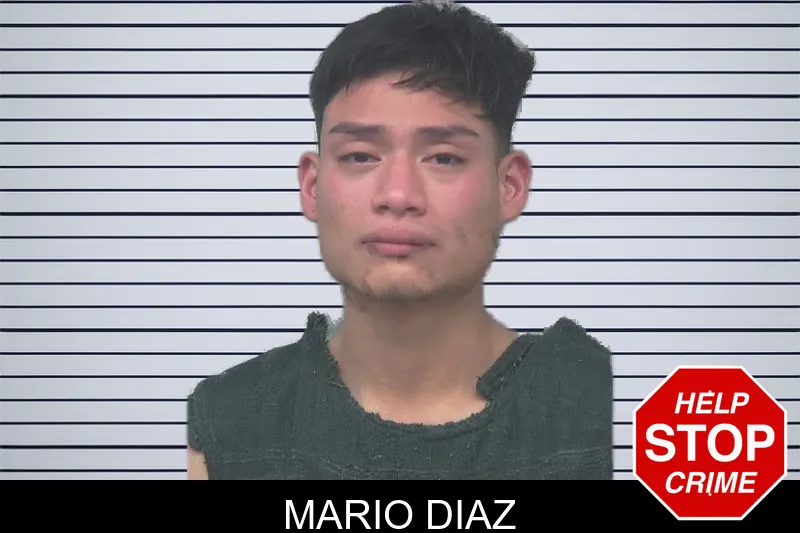 Mario Diaz mugshot – Gwinnett County , Georgia Mario Diaz mugshot