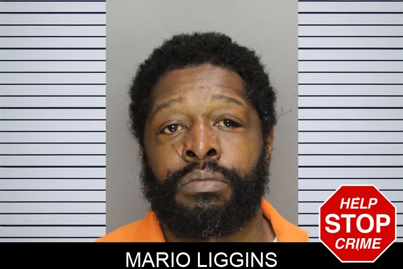 Mario Liggins mugshot