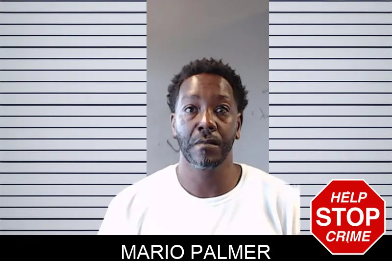 Mario Palmer mugshot