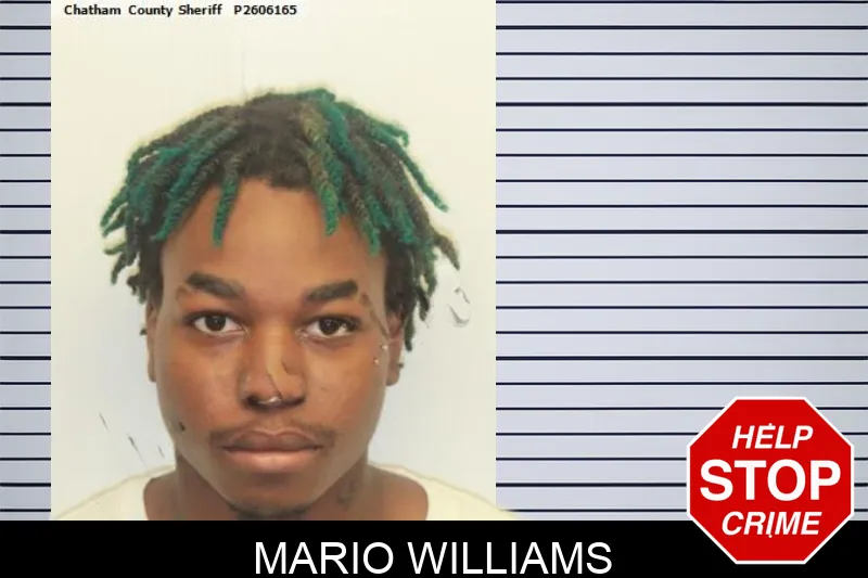 Mario Williams mugshot