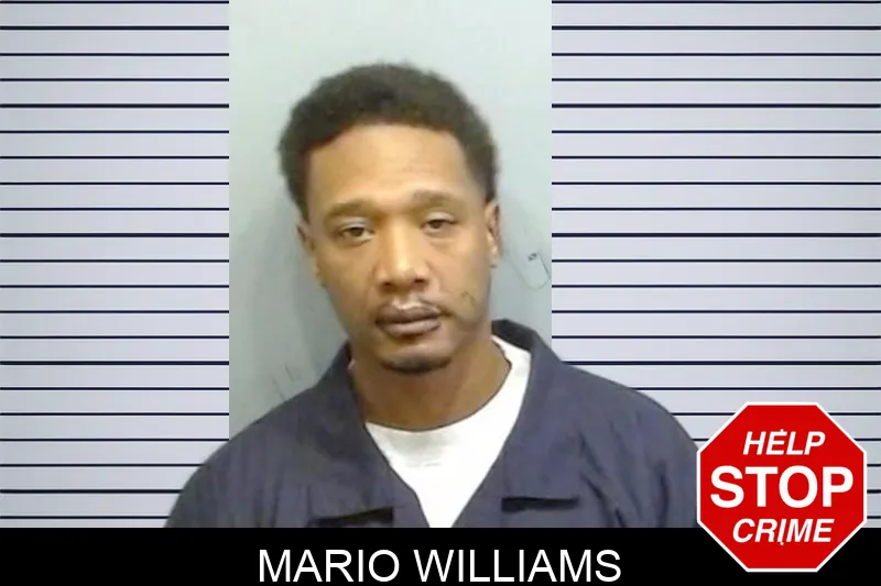 Mario Williams mugshot