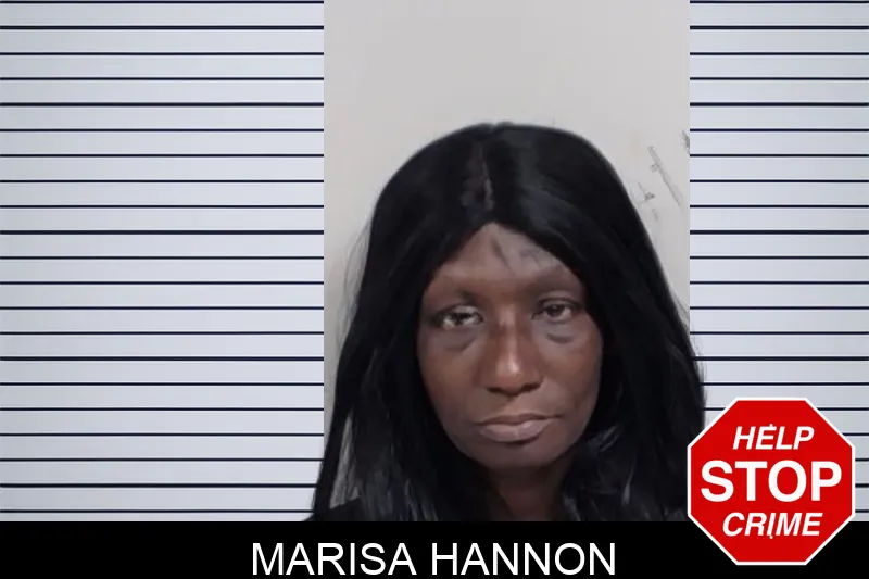 Marisa Hannon mugshot