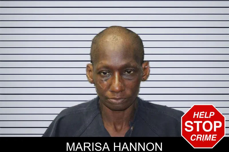 Marisa Hannon mugshot
