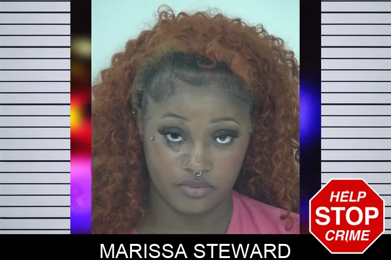 Marissa Steward mugshot