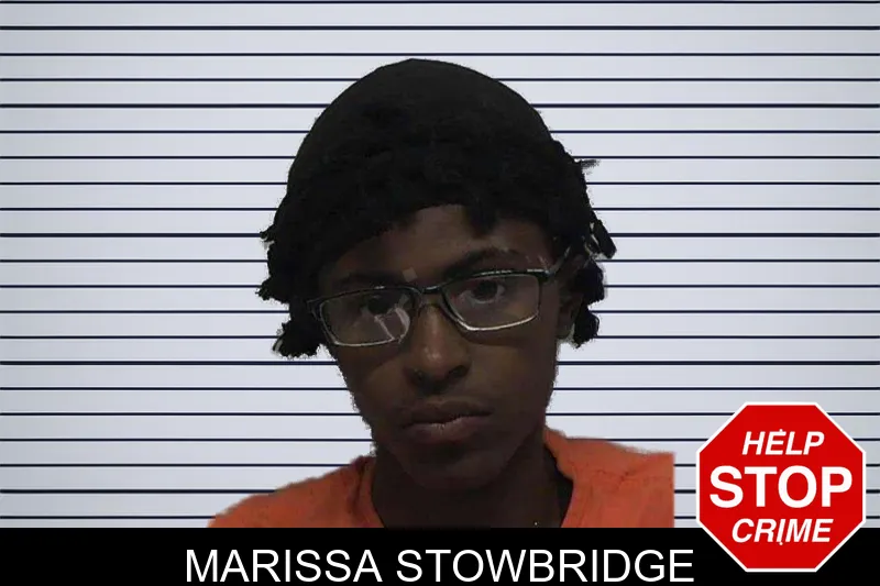 Marissa Stowbridge mugshot