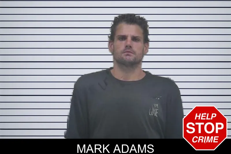 Mark Adams mugshot