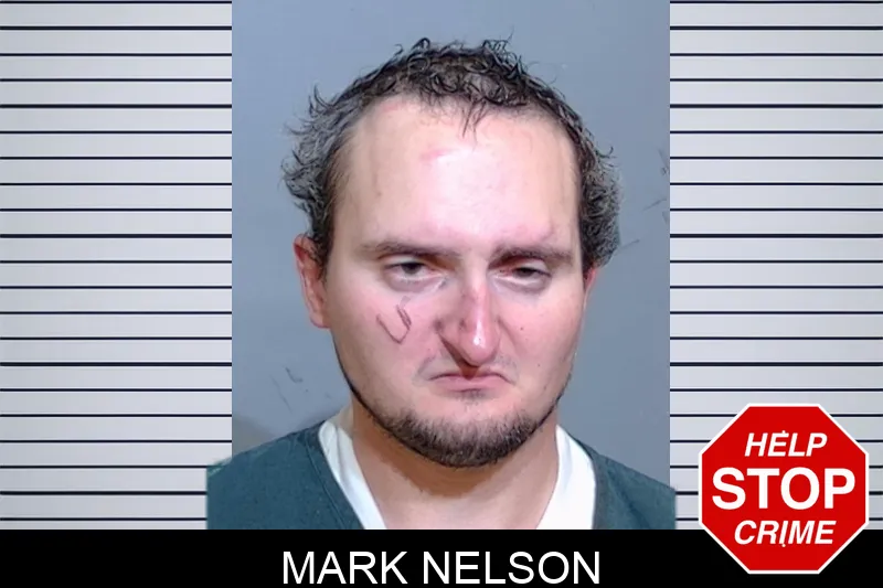 Mark Nelson mugshot