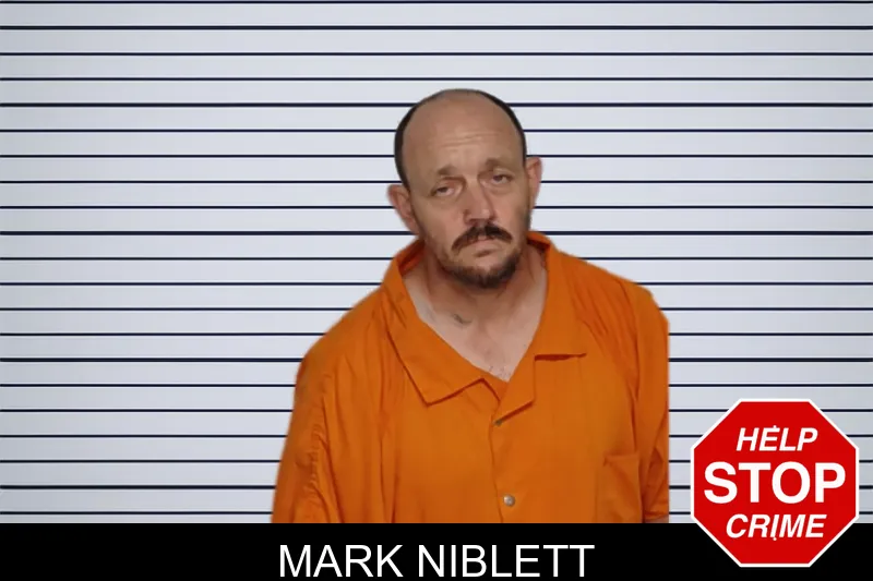 Mark Niblett mugshot