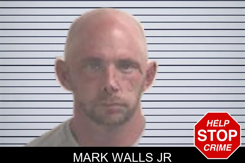 Mark Walls Jr mugshot
