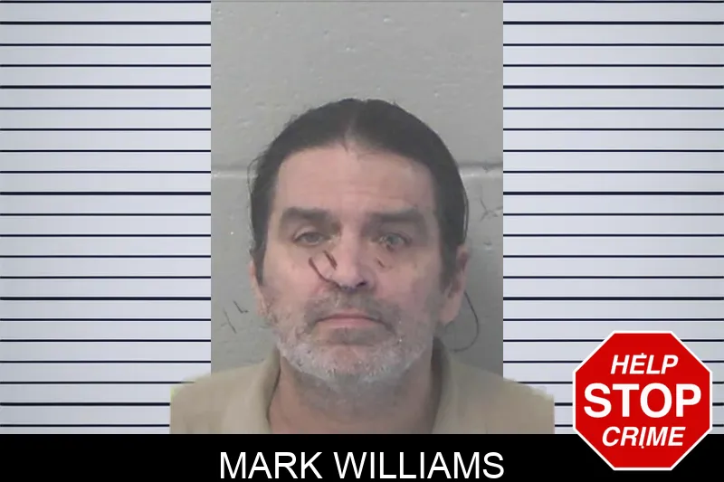 Mark Williams mugshot – Newton County , Georgia Mark Williams mugshot