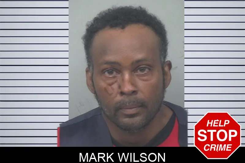 Mark Wilson mugshot