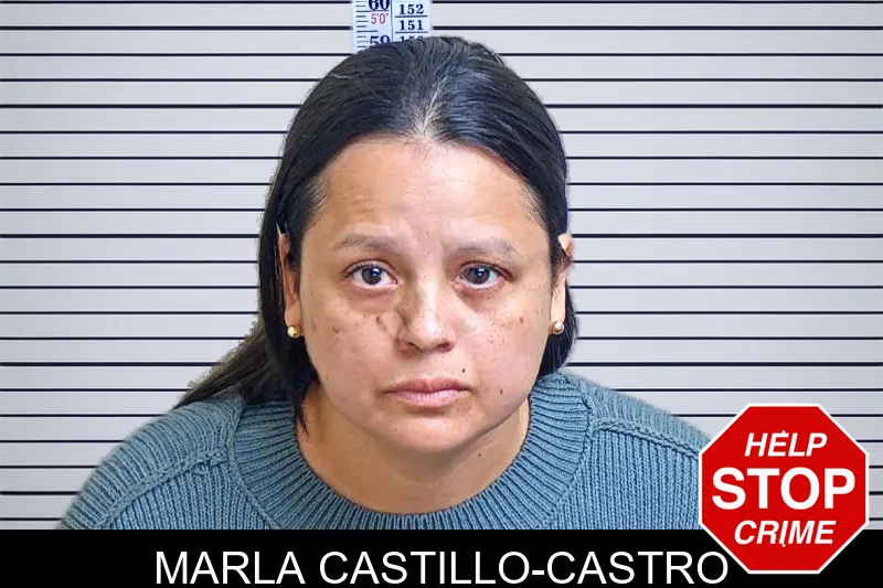Marla Castillo-Castro mugshot