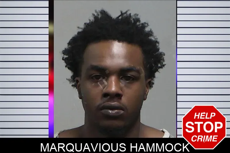 Marquavious Hammock mugshot