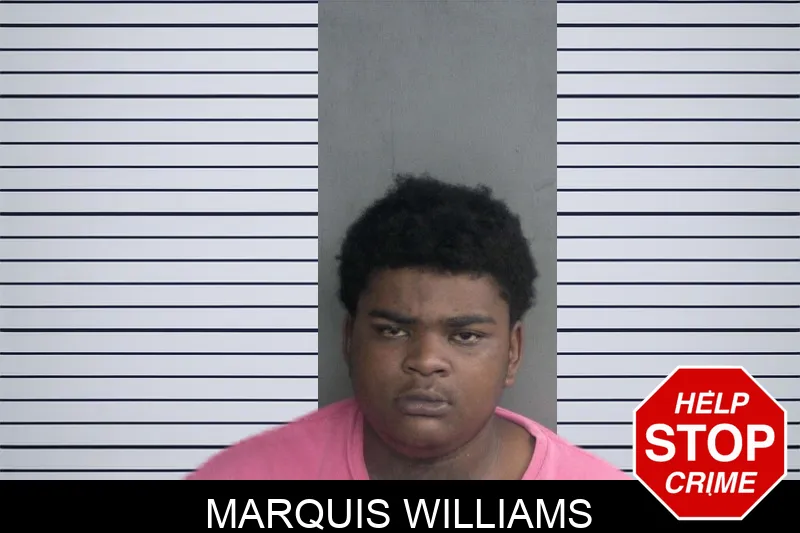 Marquis Williams mugshot