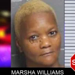 Marsha Williams mugshot – Bacon County , Georgia Marsha Williams mugshot