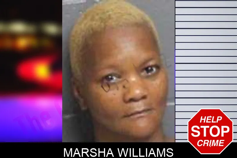 Marsha Williams mugshot – Bacon County , Georgia Marsha Williams mugshot