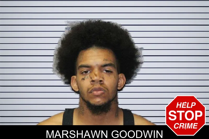 Marshawn Goodwin mugshot