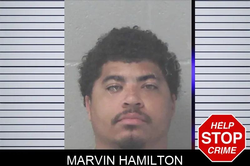 Marvin Hamilton mugshot