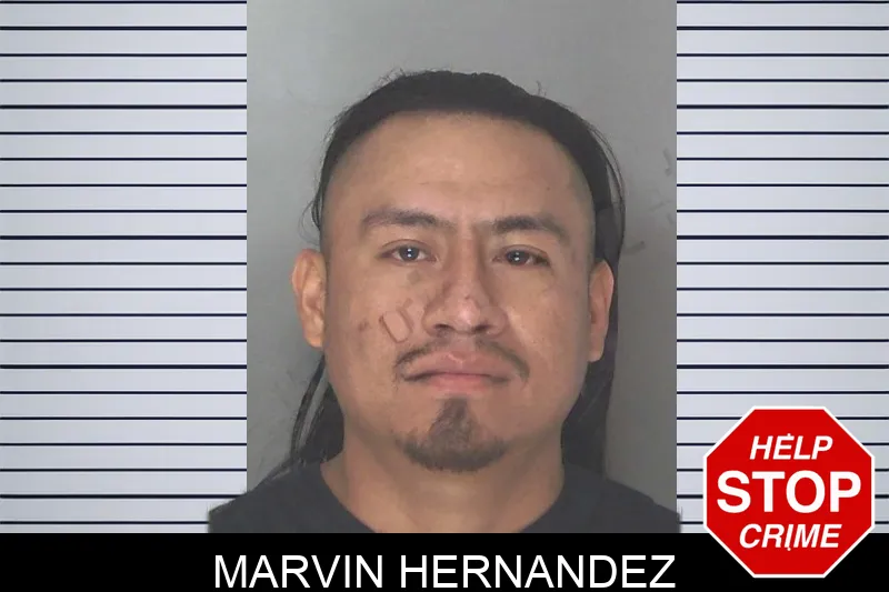 Marvin Hernandez mugshot