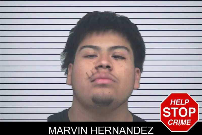 Marvin Hernandez mugshot – Gwinnett County , Georgia Marvin Hernandez mugshot