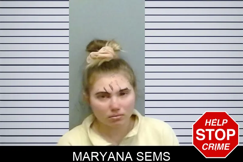 Maryana Sems mugshot – Fulton County , Georgia Maryana Sems mugshot