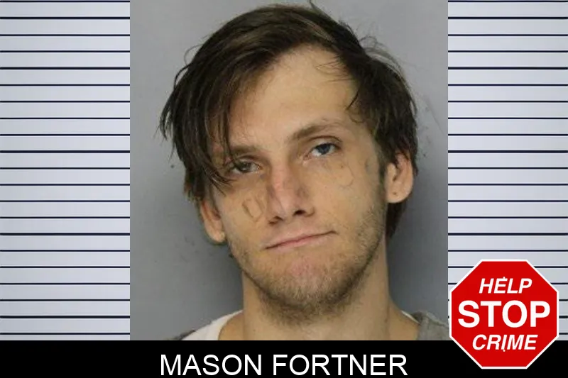 Mason Fortner mugshot – Hall County , Georgia Mason Fortner mugshot