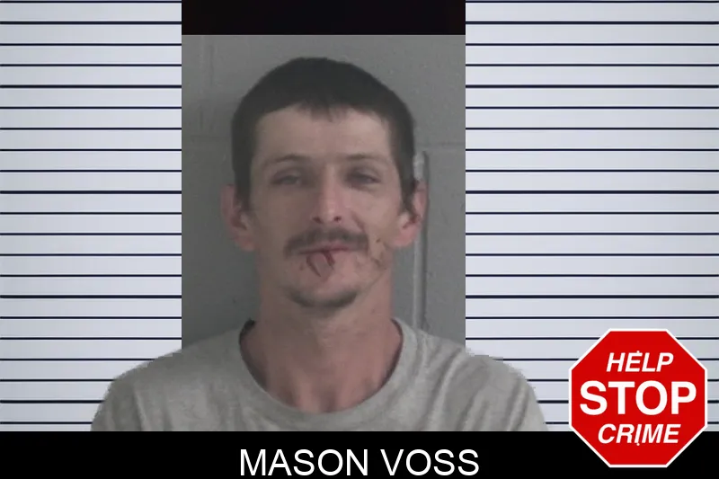 Mason Voss mugshot – Brantley County , Georgia Mason Voss mugshot