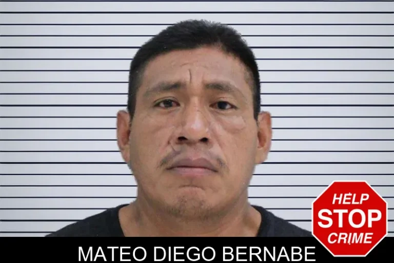 Mateo Diego Bernabe mugshot – Rabun County , Georgia Mateo Diego Bernabe