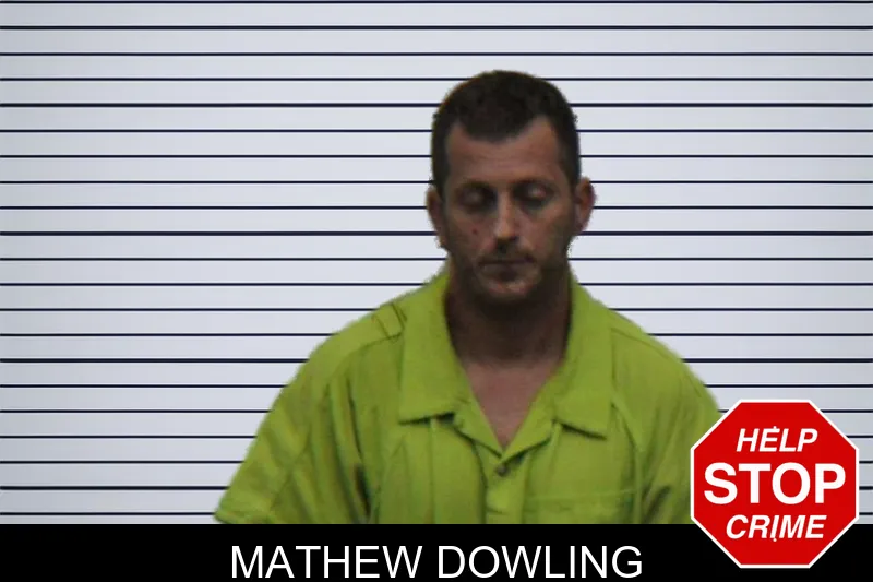 Mathew Dowling mugshot