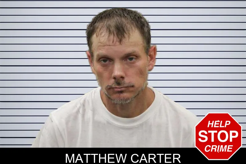 Matthew Carter mugshot