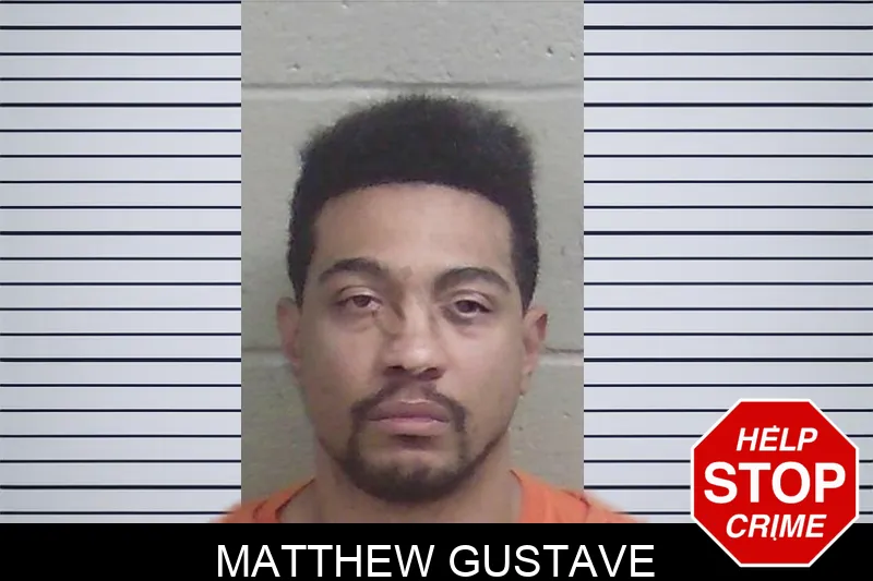Matthew Gustave mugshot – Wayne County , Georgia Matthew Gustave mugshot