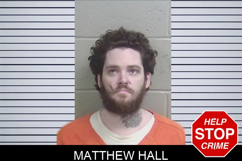 Matthew Hall mugshot – Wayne County , Georgia Matthew Hall mugshot