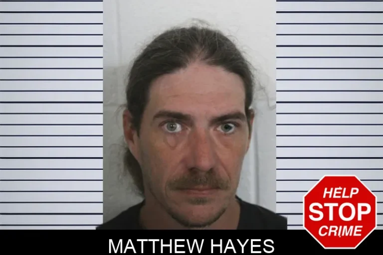 Matthew Hayes