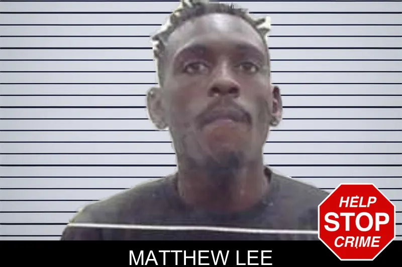 Matthew Lee mugshot